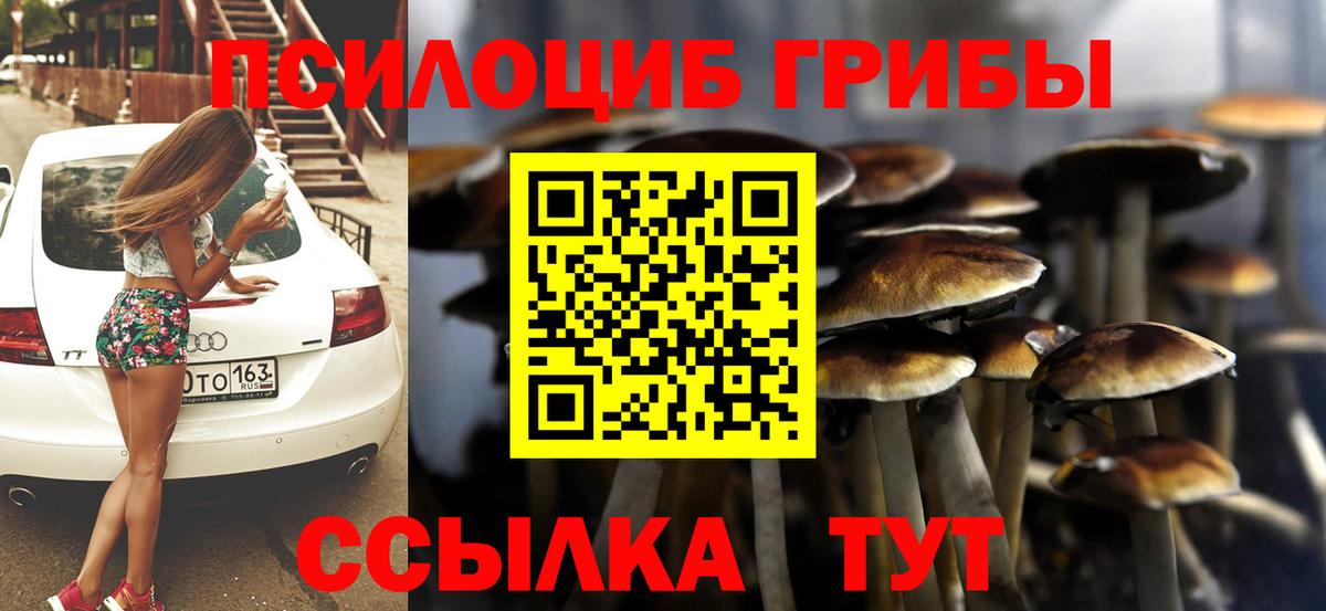 Псилоцибиновые грибы ЛСД  Вход с VPN  Подольск  Псилоцибиновые грибы прущие грибы 